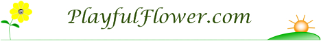 Playful Flower banner